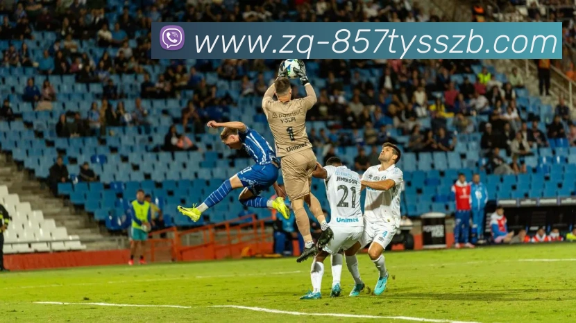 多媒体互动体验